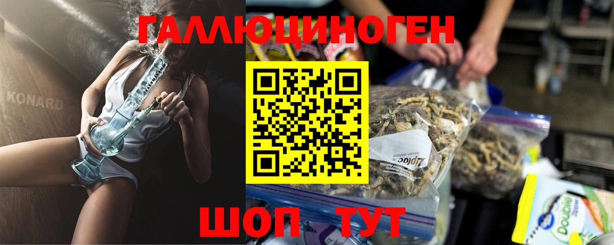 Псилоцибиновые грибы Cubensis Кудымкар